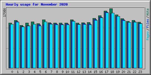 Hourly usage for November 2020