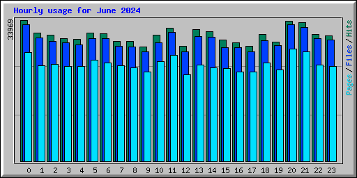 Hourly usage for June 2024
