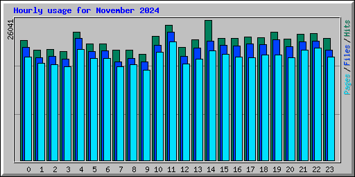Hourly usage for November 2024