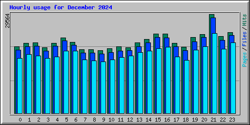 Hourly usage for December 2024