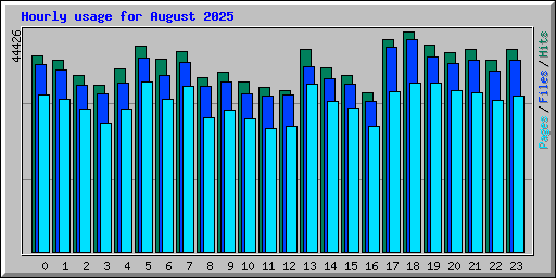 Hourly usage for August 2025