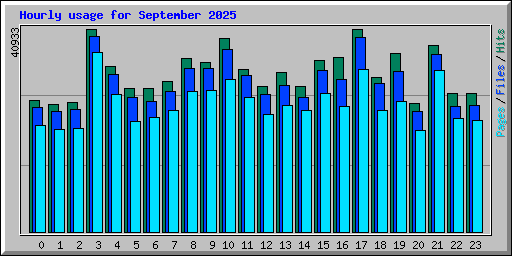 Hourly usage for September 2025