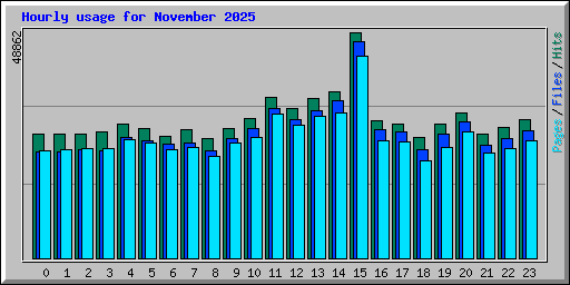 Hourly usage for November 2025