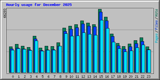 Hourly usage for December 2025