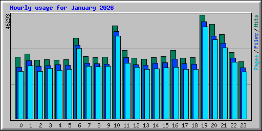 Hourly usage for January 2026