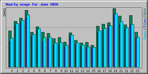 Hourly usage for June 2026