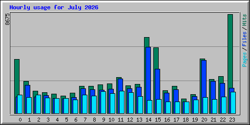 Hourly usage for July 2026